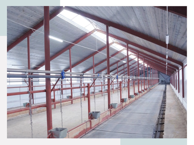 Строительство коровников в Ленинске-Кузнецком от 613 руб.