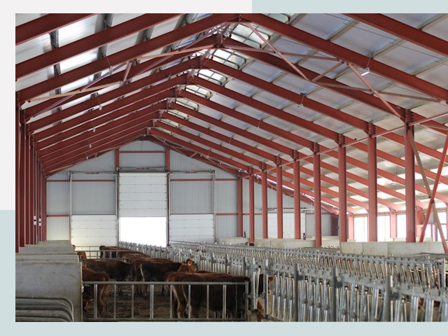 Строительство коровников в Ленинске-Кузнецком