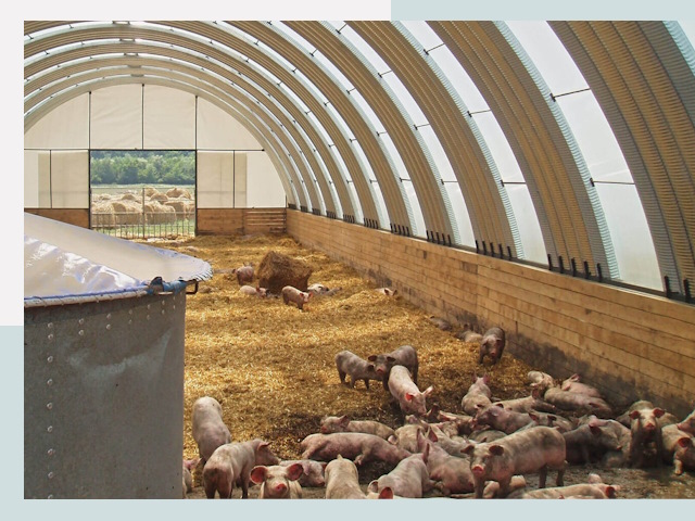 Строительство свинарников в Ленинске-Кузнецком