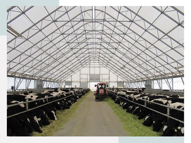 Тентовые коровники в Ленинске-Кузнецком от 613 руб. - Надежно и доступно